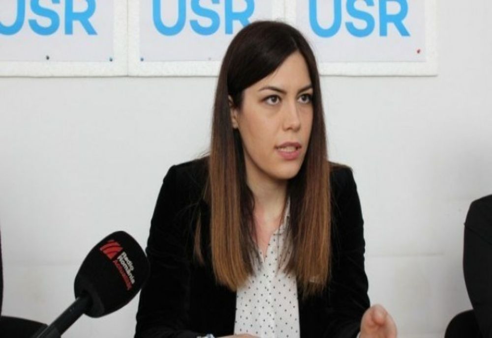 Cristina Prună, USR: "Bateriile sunt esenţiale şi în susţinerea dezvoltării industriei de energie regenerabilă"