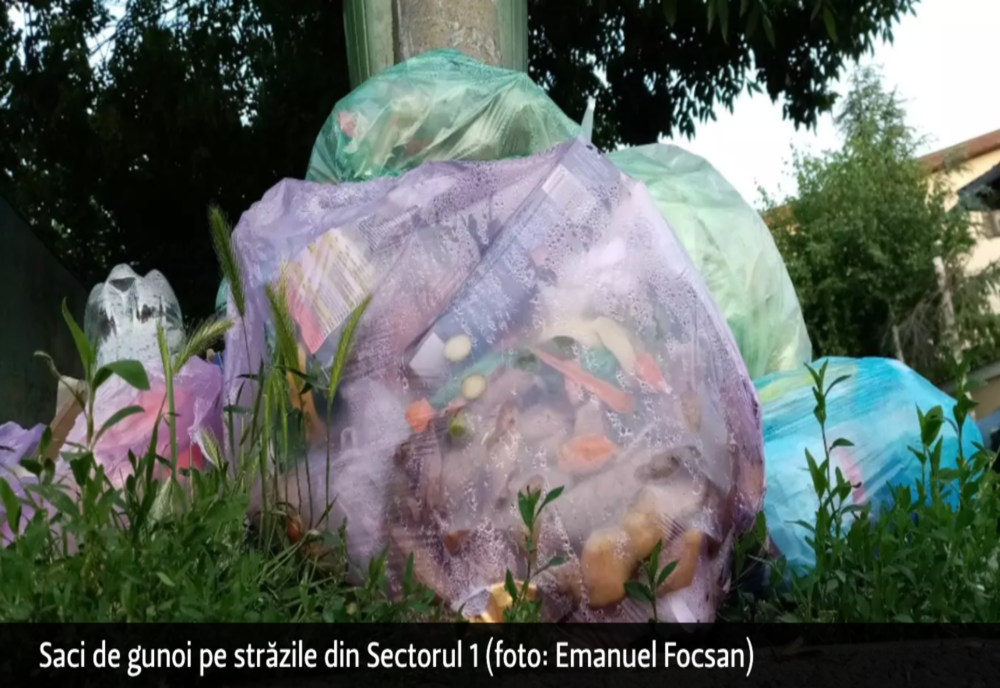 Prefectul Capitalei intervine în criza gunoaielor din Sectorul 1. Care sunt primele măsuri