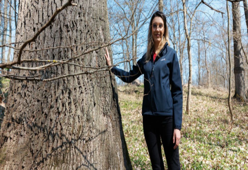 MINISTRUL MEDIULUI DIANA BUZOIANU: ROMSILVA ESTE ACAPARATĂ ŞI ESTE TRATATĂ CA O MOŞIE DE CĂTRE UN PUMN DE OAMENI