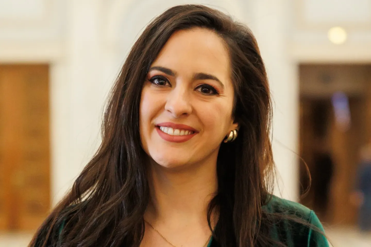 Deputata USR Diana Stoica, acuzată că a redistribuit un mesaj homofob pe grupul de WhatsApp al unei comisii parlamentare. Florin Manole (PSD): „Un mesaj grobian, o jignire la adresa oricui”