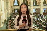 Se caută premier la Cotroceni. Patru nume sunt pe masa lui Nicușor Dan