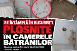 Posibilă infestare cu ploșnițe la Căminul Odăi: USR cere demisia șefului DGASPC Sector 1