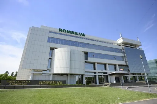 Romsilva