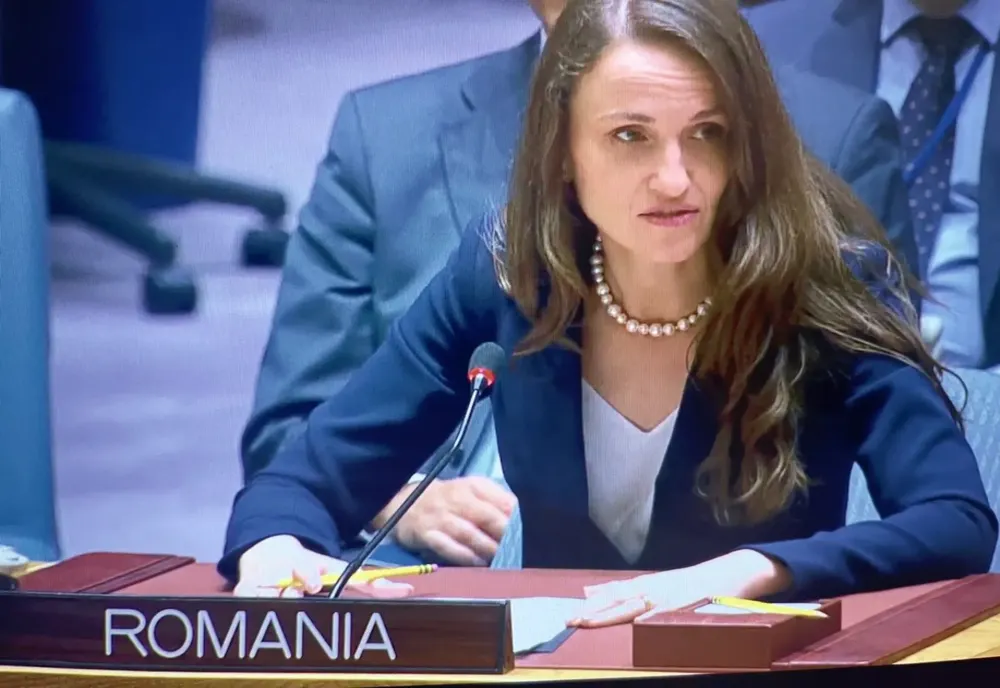 Oana Țoiu: România - angajament ferm pentru accelerarea procesului de consolidare a industriei de apărare