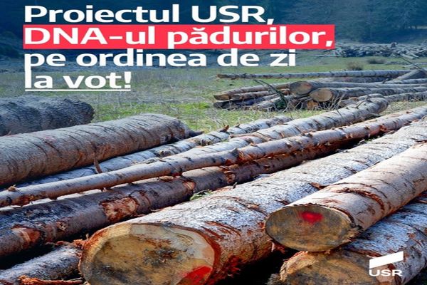 Proiectul USR privind înființarea DNA-ului pădurilor, a intrat pe ordinea de zi a următoarei ședințe de plen a Camerei Deputaților