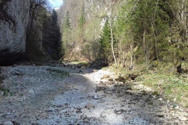 Senatorul USR, Mihai Goțiu, trage un semnal de alarmă. Râul Dâmbovița a secat în zona montană.