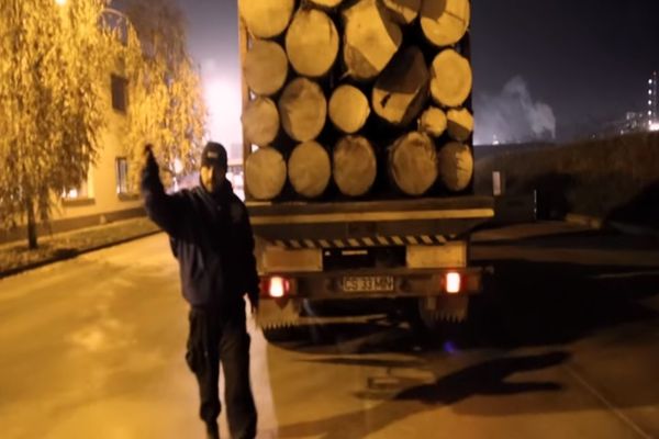 Senatorul USR Mihai Goțiu: Transporturile ilegale de lemne s-au dublat față de anul trecut