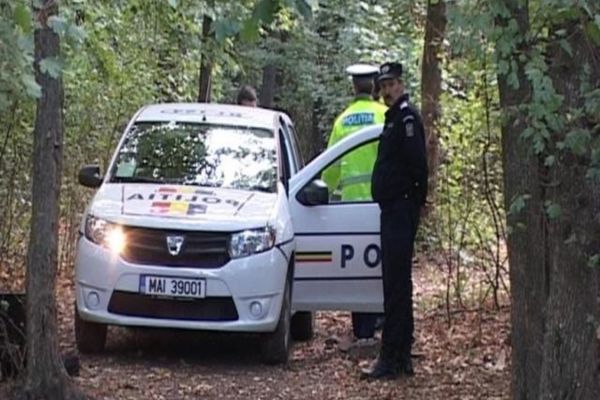 Senatorul Mihai Goțiu anunță că proiectul USR de înfiinţare a DNA-ului Pădurilor a primit aviz favorabil în Comisia pentru mediu