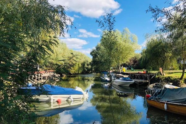 USR PLUS:''Candidaturile pentru funcţia de guvernator al Deltei Dunării pot fi depuse începând de vineri''