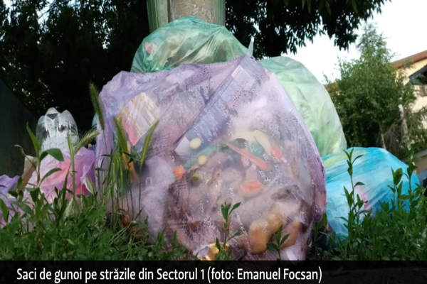 Prefectul Capitalei intervine în criza gunoaielor din Sectorul 1. Care sunt primele măsuri