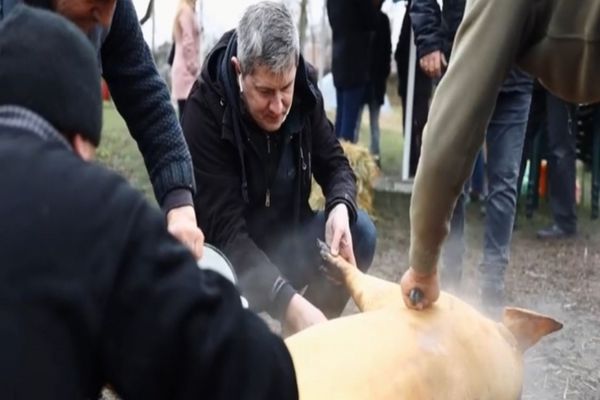 Dan Barna a tăiat porcul tradițional: "În copilărie, de Ignat, eram negreșit la bunici”