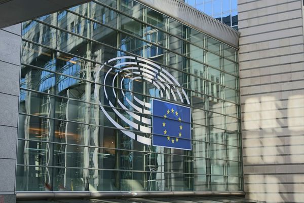 ÎN CE DOMENII ȘI CU CE RESPONSABILITĂȚI VOR ACTIVA EUROPARLAMENTARII USR