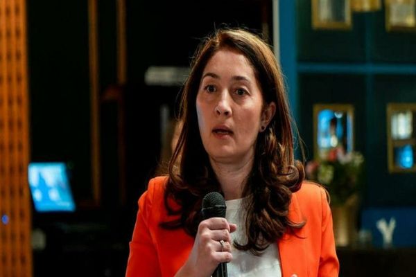 SIMONA SPĂTARU (USR) A EXPLICAT CUM AR PUTEA SĂ SE FRAUDEZE VOTURILE LA ALEGERI: „ȘI EU ÎNTREBAM CE ESTE SUVEICA ASTA. UITE, A EXPLICAT UN PSD-IST FOARTE CLAR”