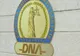 USR depune denunț penal la DNA după acțiunile PSD la adresa lui Nicușor Dan