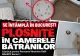 Posibilă infestare cu ploșnițe la Căminul Odăi: USR cere demisia șefului DGASPC Sector 1